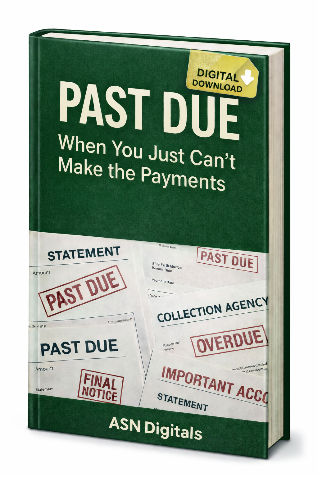 Past Due - A Guide to Getting Organized, Staying calm & Taking Control Again